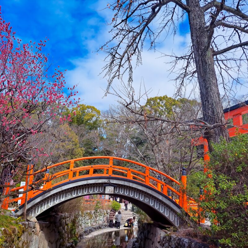 日本で二番目に格式の高い神社 世界遺産下鴨神社VIP対応「御祈祷と特別内覧」ツアー