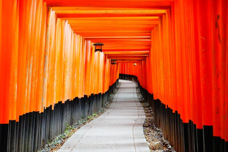 伏見稲荷大社完全制覇ナイトツアー「絶景・神秘・荘厳」の稲荷山の世界