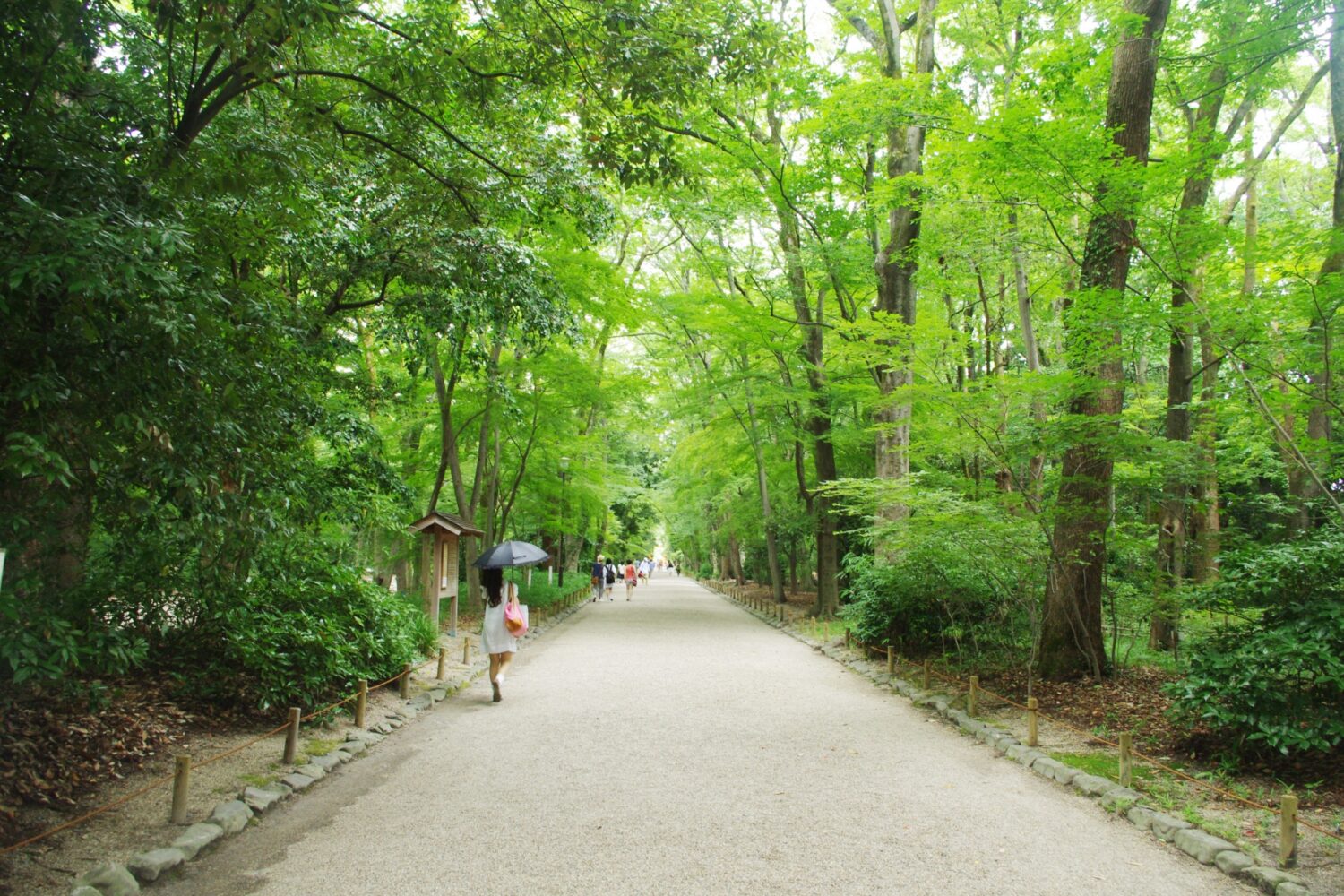 日本で二番目に格式の高い神社 世界遺産下鴨神社VIP対応「御祈祷と特別内覧」ツアー