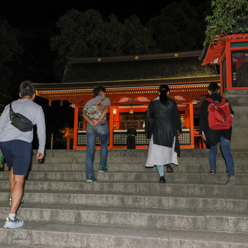 伏見稲荷大社完全制覇ナイトツアー「絶景・神秘・荘厳」の稲荷山の世界