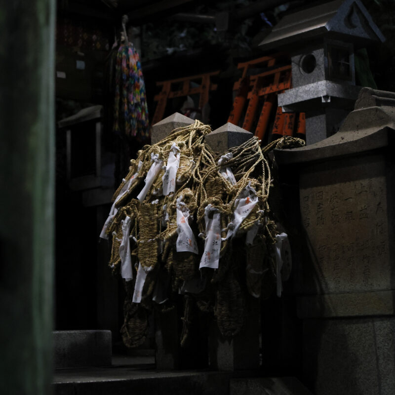 伏見稲荷大社完全制覇ナイトツアー「絶景・神秘・荘厳」の稲荷山の世界