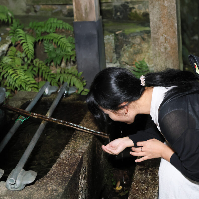 伏見稲荷大社完全制覇ナイトツアー「絶景・神秘・荘厳」の稲荷山の世界