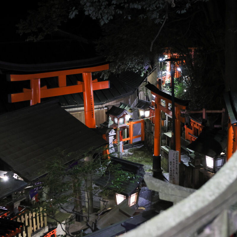 伏見稲荷大社完全制覇ナイトツアー「絶景・神秘・荘厳」の稲荷山の世界