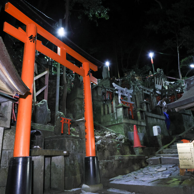 伏見稲荷大社完全制覇ナイトツアー「絶景・神秘・荘厳」の稲荷山の世界