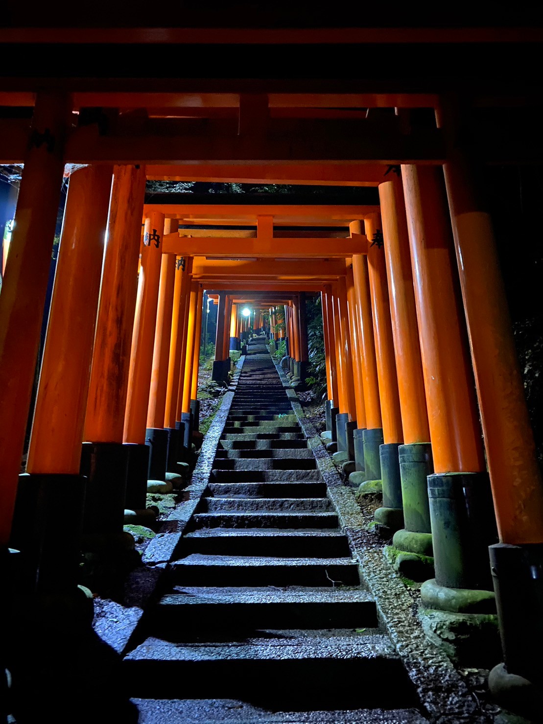 Complete Fushimi Inari Taisha Night Tour: The world of Mount Inari with "breathtaking views, mysteries and grandeur"
