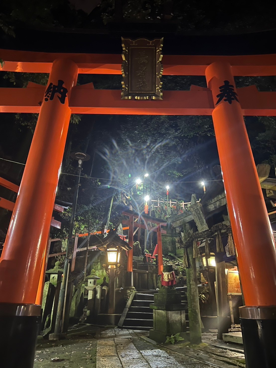 伏見稲荷大社完全制覇ナイトツアー「絶景・神秘・荘厳」の稲荷山の世界