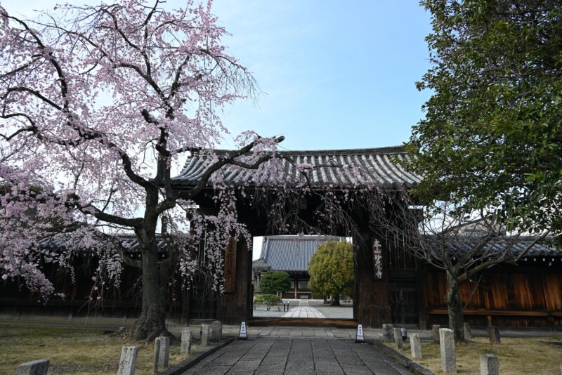 織田信長の一番の定宿「妙覚寺」での本で唯一の体験　プロ殺陣師が教えるチャンバラ体験